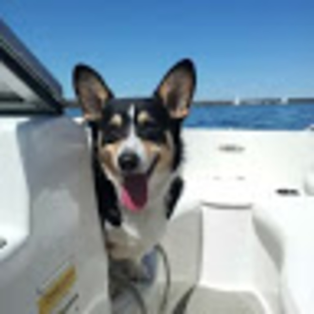 Meet your Posher, Kerri